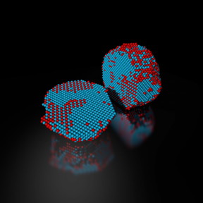 The precise 3-D atomic composition of an iron-platinum nanoparticle is revealed in this reconstruction, with iron atoms in red and platinum atoms in blue.
CREDIT
Colin Ophus and Florian Niekiel, Berkeley Lab
