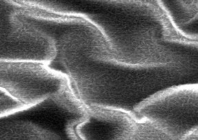 This is a scanning electron microscope image of atomically-thin MoS2 with hierarchical, dual-scale structures.
CREDIT
SungWoo Nam, University of Illinois