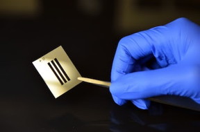 NanoVelcro Chip