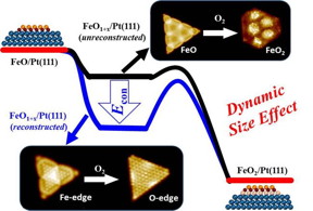 This is a schematic illustration of the dynamic size effect in enhancing the oxidation resistance of active FeO NSs.
CREDIT
Image by YANG Fan
