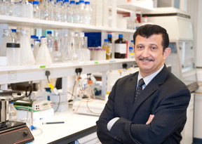 Professor Mohamed El-Tanani, Institute for Cancer Therapeutics, University of Bradford, UK.
CREDIT
University of Bradford