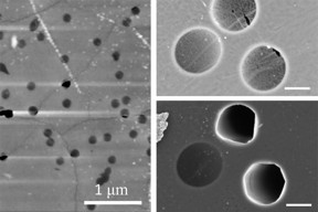 On the left, an atomic-force microscopy image shows a nanoporous graphene membrane after a burst test at 100 bars. The image shows that failed micromembranes (the dark black areas) are aligned with wrinkles in the graphene. On the right, two zoomed-in scanning electron microscopy images of graphene membranes show the before (top) and after of a burst test at pressure difference of 30 bars. The images illustrate that membrane failure is associated with intrinsic defects along wrinkles.

Courtesy of the researchers
