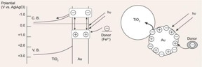 Proposed mechanism for the photoelectrochemistry: charges are separated at a visible-light-irradiated Au NPs TiO2 system.
CREDIT
Science China Press