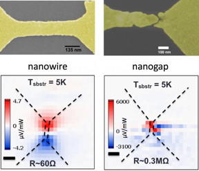 Rice University scientists discovered that 'hot' electrons can create a photovoltage about a thousand times larger than ordinary temperature differences in nanoscale gaps in gold wires. On the left, a laser-heated, bowtie-shaped plasmonic gold nanowire created a small voltage in the wire. On the right, a gold nanowire with a nanogap under the same light source showed a much stronger voltage at the break.
CREDIT
Natelson Group/Rice University
