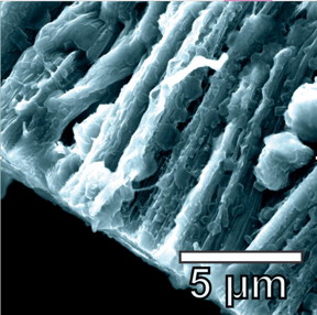 Lithium metal coats the hybrid graphene and carbon nanotube anode in a battery created at Rice University. The lithium metal coats the three-dimensional structure of the anode and avoids forming dendrites.
CREDIT
Tour Group/Rice University