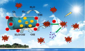 The suggested mechanism of photocatalytic oxidization of EM over Cu2O@H2Ti3O7 nanocomposite under sunlight irradiation. Under the sunlight irradiation, photo-generated electrons (e?) of nanocomposite aggregated on nanotubes, and holes (h?) aggregated on Cu2O nanoparticles, which will reduce the bandgap energy and prolong the effective separation of photo-induced electron-hole pairs, enhance eventually the photocatalytic activity. It causes a large number of the hydroxy radical groups (OH) generated on nanocomposite, which will effectively oxidize EM due to the synergistic effect between them to form heterojunction structure. Therefore, nanocomposite exhibits the excellent photocatalytic performance.
CREDIT
NANO Journal