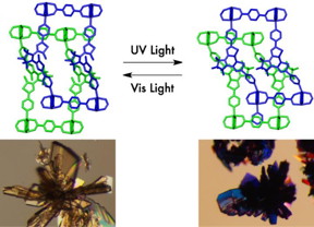 Entangled porous coordination polymers like 'wire-and string puzzles' enable reversible and repeatable photomodulation of CO2 sorption. The single crystals of the porous material showed a drastic color change upon irradiation of ultraviolet and visible light.
CREDIT
Kyoto University iCeMS