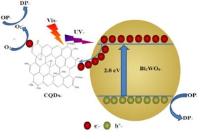 Due to the excellent up-converted photoluminescence (UCPL), photo-induced electron transfer and electron reservoir properties of CQDs, the CQDs/Bi2WO6 composite showed enhanced photo-absorption and charge separation, resulting in excellent photocatalytic performance.
CREDIT
World Scientific