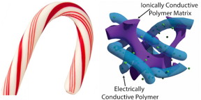 Candy cane supercapacitor.
CREDIT
Stoyan Smoukov