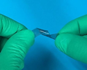 Silk could soon be used to produce more sensitive and flexible body sensors like this one.
CREDIT
Yingying Zhang