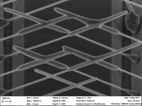 Scanning electron microscope image of growing InP nanowires thereby forming multiple junctions.
CREDIT
Eindhoven University of Technology