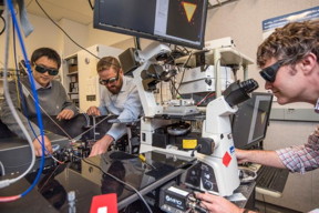 From left: Kaiyuan Yao, Nick Borys, and P. James Schuck, seen here at Berkeley Lab's Molecular Foundry, measured a property in a 2-D material that could help realize new applications.
CREDIT
Marilyn Chung/Berkeley Lab