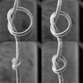 Hair sample imaged under tension in Phenom XL desktop SEM. Image montage shows increases in tension, clockwise from top left