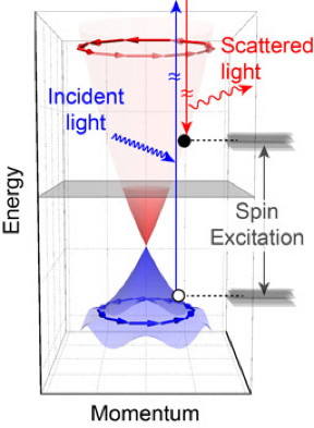 The blue and red cones show the energy and momentum of surface electrons in a 3D topological insulator. The spin structure is shown in the blue and red arrows at the top and bottom, respectively. Light promotes electrons from the blue cone into the red cone, with the spin direction flipping. The orderly spinning leads to the chiral spin mode observed in this study.
Hsiang-Hsi (Sean) Kung/Rutgers University-New Brunswick