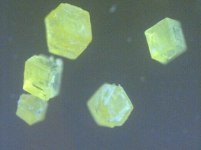 The perovskite has a strong green fluorescence.
CREDIT
 2017 De Bastiani
