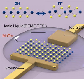 Schematic shows the configuration for structural phase transition on a molybdenum ditelluride monolayer (MoTe2, shown as yellow and blue spheres), which is anchored by a metal electrodes (top gate and ground). The ionic liquid covering the monolayer and electrodes enables a high density of electrons to populate the monolayer, leading to changes in the structural lattice from a hexagonal (2H) to monoclinic (1T') pattern.
CREDIT
Ying Wang/Berkeley Lab