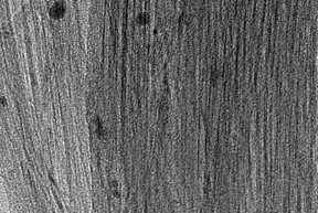 Iron impurities are easy to see in a bundle of carbon nanotubes viewed through a transmission electron microscope. Researchers at Rice University and the National University of Singapore are leading the charge to purify nanotubes for use in continuous, strong and conductive carbon nanotube fibers. (Credit: Complex Flows of Complex Fluids/Rice University)