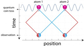 Two atoms, initially prepared in different locations, exchange their positions along the blue path, whereas no exchange occurs along the red path. In quantum mechanics, it is possible that the atoms take simultaneously both ways. As a result of such a tricky manipulation, it is fundamentally impossible at the end to determine the origin of the atoms, and their spin orientations (denoted by arrows) become entangled.
CREDIT
 Andrea Alberti/Uni Bonn