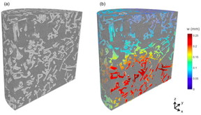 3D visualization of snow crystals in bed of fresh snow (a). Quantitative analysis of snow compaction in bed when loaded at 10 N (b).