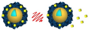 Researchers from Rice University and Northwestern University loaded light-activated nanoshells (gold and light blue) with the anticancer drug lapatinib (yellow) by encasing the drug in an envelope of albumin (blue). Light from a near-infrared laser (center) was used to remotely trigger the release of the drug (right) after the nanoshells were taken up by cancer cells. (Image courtesy of A. Goodman/Rice University)