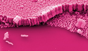 Yale researchers have discovered a method for creating a new kind of metallic glass, a class of materials made from complex alloys.