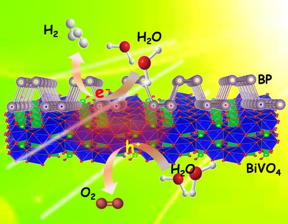 Photocatalytic overall pure-water splitting using the 2-D heterostructures of BP/BiVO4 without any sacrificial agents under visible light irradiation.

CREDIT
Osaka University