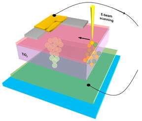 Illustration shows an electron beam impinging on a section of a memristor, a device whose resistance depends on the memory of past current flow. As the beam strikes different parts of the memristor, it induces different currents, yielding a complete image of variations in the current throughout the device. Some of these variations in current indicate places where defects may occur, indicated by overlapping circles in the filament (titanium dioxide), where memory is stored.

CREDIT
NIST