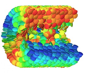 Cutaway-view into a largely self-organised liquid crystal in a nanopore.
CREDIT
Credit: A. Zantop/M. Mazza/K. Sentker/P. Huber, Max-Planck Institut fr Dynamik und Selbstorganisation/Technische Universitt Hamburg (TUHH)