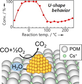 New catalyst consisting of gold nanoparticles supported on a Keggin-type polyoxometalate (POM) with a cesium salt. The structure showed high activity and stability for CO oxidation; trace amounts of water were found to be essential to the function of the material. Catalytic activity showed a unique, U-shaped dependence on temperature.
CREDIT
Toru Murayama