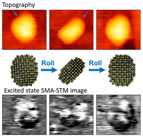 Conventional STM image of a quantum dot, top, compared with an image produced using the new excited-state SMA-STM technique. 

Graphic courtesy Martin Gruebele