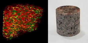 The neutron interferometer can scan the interior of thick objects, such as this chunk of granite, providing enough detail to show the four types of rock that are mixed within it.
CREDIT
Huber & Hanacek, NIST