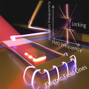 This is a schematic of the first-ever plasmomechanical oscillator (PMO), developed by NIST researchers. The orange-white ovals represent the localized plasmon oscillations. The cantilever, containing the gold cuboid nanoparticle, lies dead center. The series of white curves represents the electrical field applied to the cantilever. Data at right indicates that the device can lock onto and greatly amplify weak signals that oscillate at frequencies close to those of the PMO.
CREDIT
B. Roxworthy/NIST