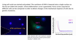 Experimental summary of mechanical measurements in the research of Ilaria Pecorari.