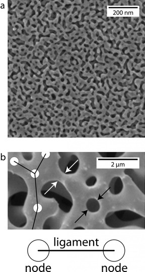 These images show some of the physical characteristics of nanoporous gold at different magnifications.
CREDIT
Texas A&M University