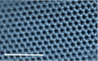 Hematene created by a Rice University-led team is the first known two-dimensional non-van der Waals material. The transmission electron image shows a single sheet of hematene. Scale bar equals 0.5 microns. (Credit: Shyam Sinha and Peter van Aken/Max Planck Institute for Solid State Research, Stuttgart, Germany)
