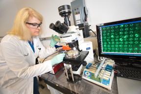 UC San Diego researchers have developed a test to screen for pancreatic cancer in a drop of blood.
CREDIT
David Baillot/UC San Diego Jacobs School of Engineering