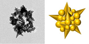 Electron microscope image of M13 spheroid-templated spiky gold nanobead with corresponding graphical illustration.

CREDIT
Haberer Lab, UC Riverside