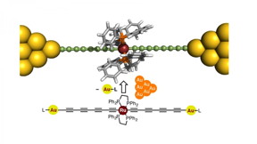 The proposed wire is 'doped' with a ruthenium unit that enhances its conductance to unprecedented levels compared with previously reported similar molecular wires.

CREDIT
Journal of the American Chemical Society
