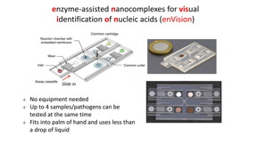 The novel enVision platform adopts a 'plug-and-play' modular design and uses microfluidic technology to reduce the amount of samples and biochemical reagents required as well as to optimise the technology's sensitivity for visual readouts.

CREDIT
NUS BIGHEART