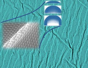 The buckling nature of pre-strained PDMS was applied to the investigation of the dependency of surface hydrophobicity on different geometries of wavy polystyrene thin films, which were fabricated using colloidal self-assembly. This approach can be further applied for fabricating various polymeric nano-films with controlled hydrophobicity.

CREDIT
World Scientific