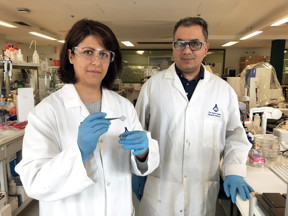 Drs. Esrafilzadeh and Jalili working on 3D-printed graphene mesh in the lab.

CREDIT
RMIT University