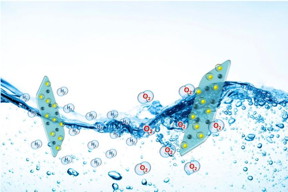 A new water-splitting catalyst material produce hydrogen cheaply without fossil fuels

CREDIT
QUT: Ummul Sultana