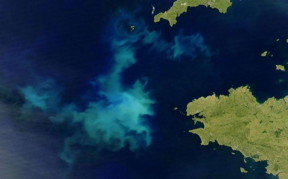 This is a bloom of coccolithophores visible from space.

CREDIT
NASA