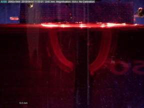 A new hydrogel material is able to respond dynamically to its environment. In the presence of iron ions, the material bends on its own, in this case to close a gripper that can pick up small objects

CREDIT
Wong Lab / Brown University

