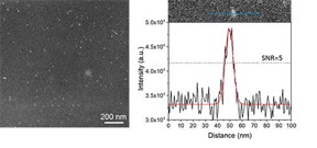 HAADF-S/TEM imaging of aqueous Poloxamer gal-based nanocomposites with the fluid cell in situ.
Left: Nanoparticles as small as ~6 nm are clearly seen in a surrounding thick gel matrix. Right:
Intensity line scan of a random single particle dispersed in gel. SNR=5 corresponds to the Rose
criteria threshold for visibility of nanoparticles.
