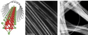 This is a schematic and electron microscopy images of single wires of molybdenum telluride formed inside carbon nanotubes. These 1D reaction vessels are a good fit for the wires, and confine the chemical reactions which create them to one direction. Epitaxial (layer by layer) growth can then proceed along the inner walls of the tubes.

CREDIT
Tokyo Metropolitan University