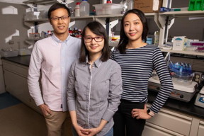Materials science and engineering professor Qian Chen, center, and graduate students Binbin Luo, left, and Ahyoung Kim find inspiration in biology to help investigate how order emerges from self-assembling building blocks of varying size and shape.

CREDIT
Photo by L. Brian Stauffer

