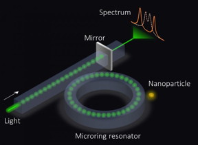 An exceptional surface-based sensor. The microring resonator is coupled to a waveguide with an end mirror that partially reflects light, which in turn enhances the sensitivity.

CREDIT
Ramy El-Ganainy and Qi Zhong

