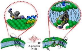 Chemists at Rice University, Durham (U.K.) University and North Carolina State University have upgraded their technique to kill cancer cells with targeted molecular motors. The light-activated motors attach themselves to cells and, when hit by near-infrared light, spin up to 3 million times per second and drill through membranes, destroying the cells within minutes. (Credit: Illustration courtesy of the Tour Group/Rice University)