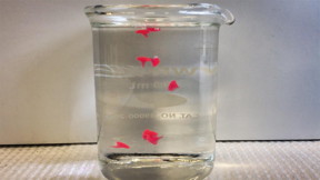 MIT chemical engineers have devised a way to convert liquid nanoemulsions into solid gels. These gels (red) form almost instantaneously when drops of the liquid emulsion enter warm water.

CREDIT
Patrick Doyle